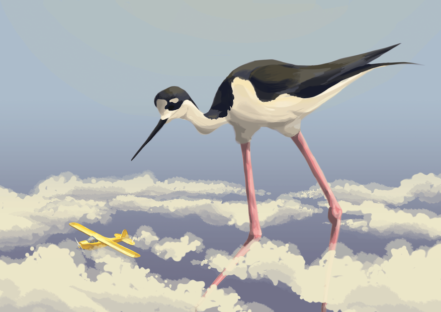 stilts illustration