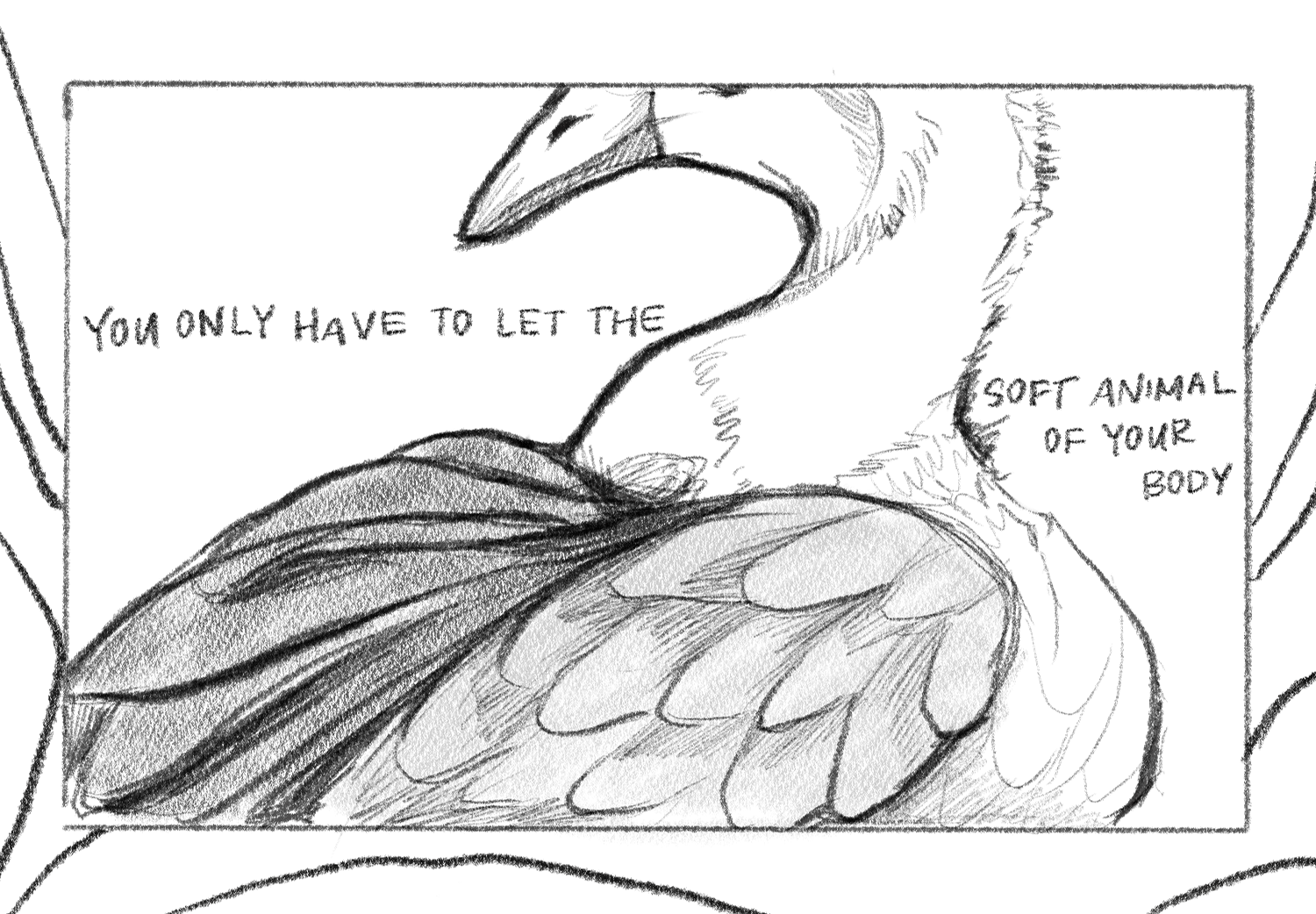 wild geese illustration